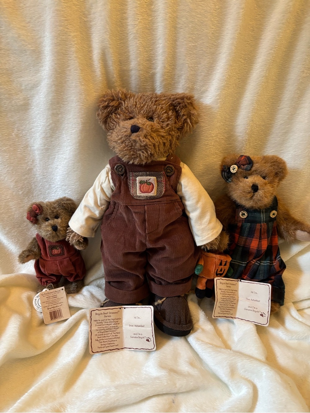 Lot of 3 autumn themed plush Boyd’s Bears
